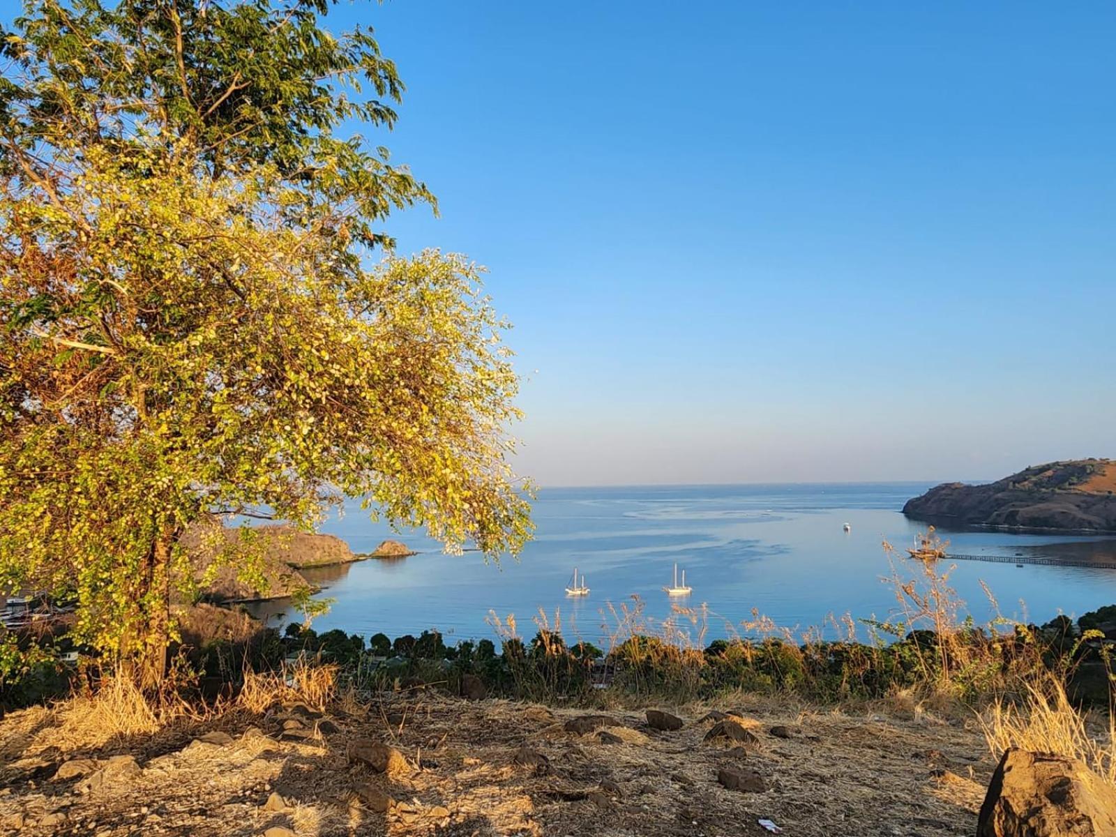 Sylvia Hotel & Resort Komodo Labuan Bajo Exterior photo